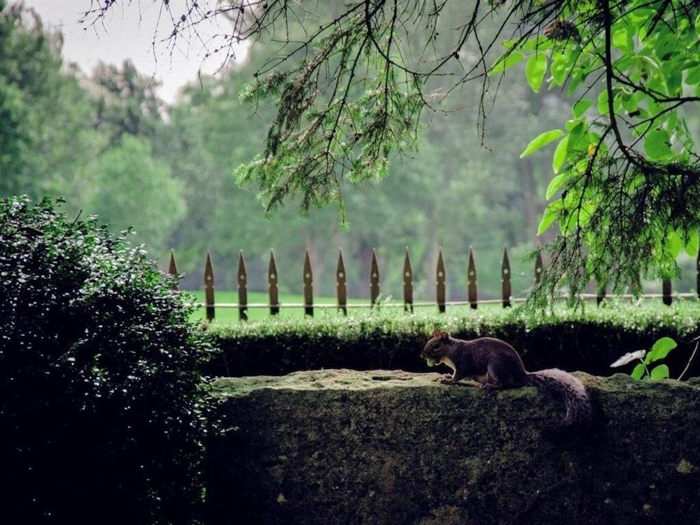 The Nyton Guesthouse Ely Luaran gambar